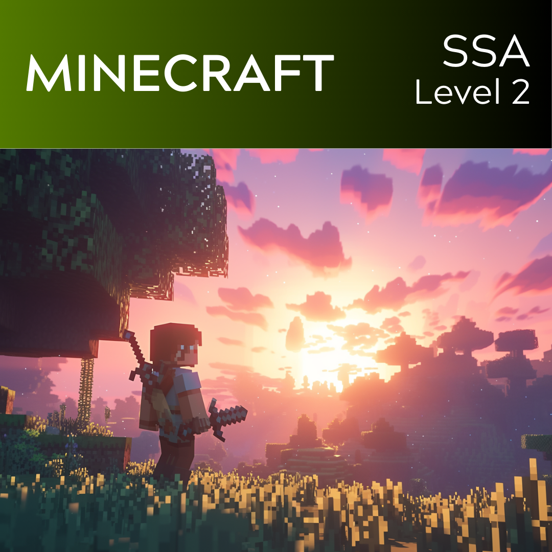 Minecraft (SSA - L2)