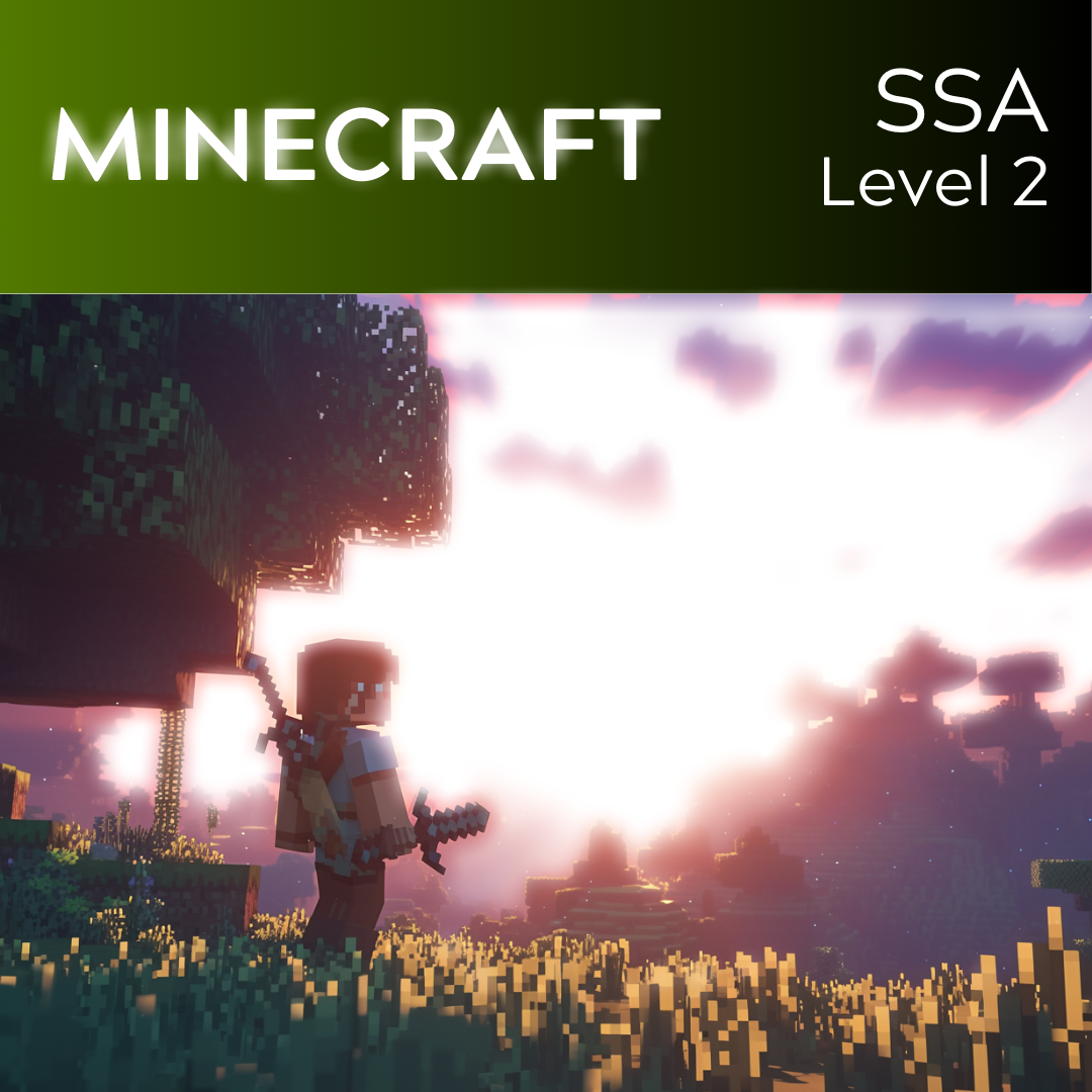 Minecraft (SSA - L2)