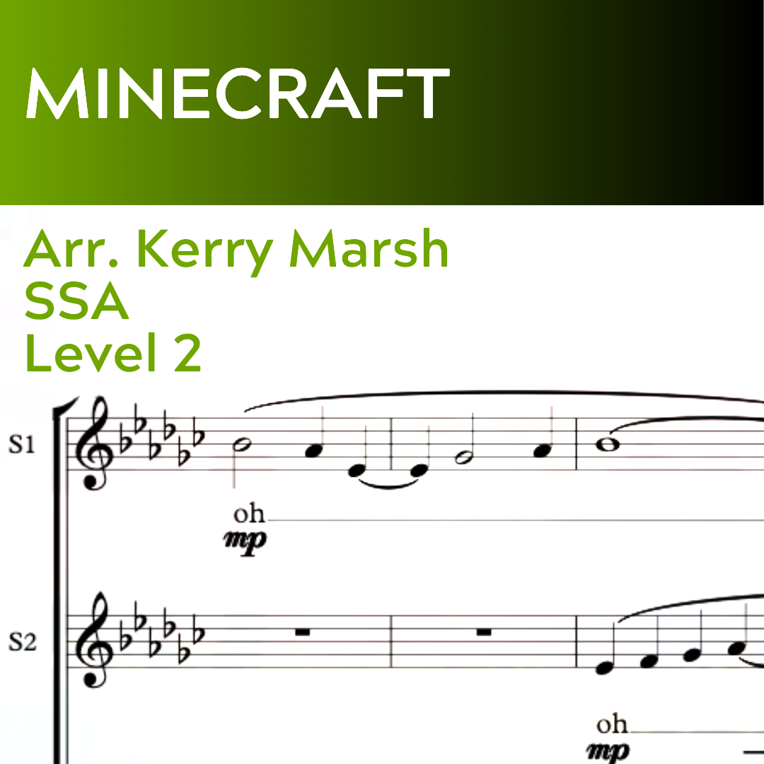 Minecraft (SSA - L2)