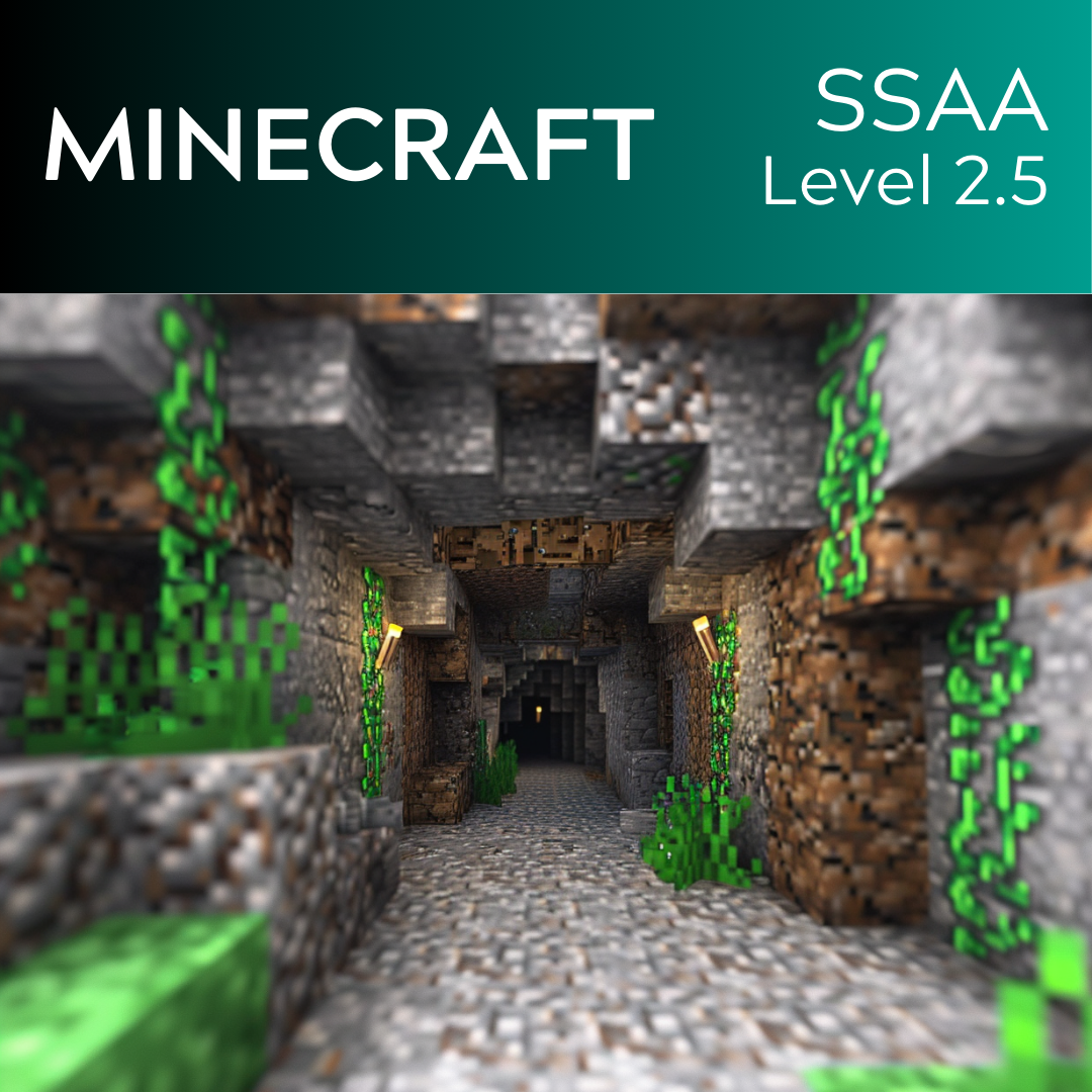 Minecraft (SSAA - L2.5)