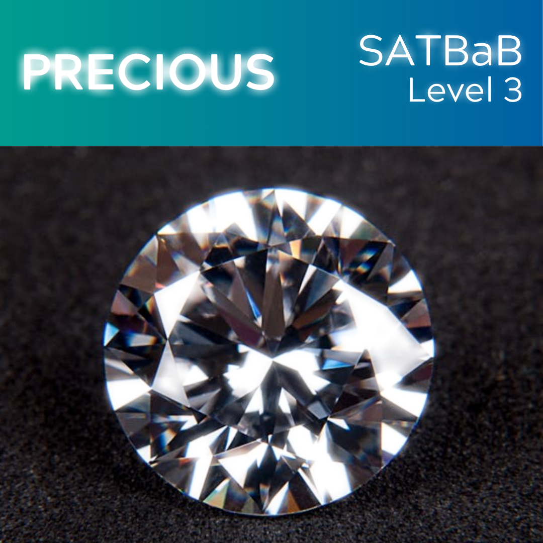 Precious (SATBaB - L3)