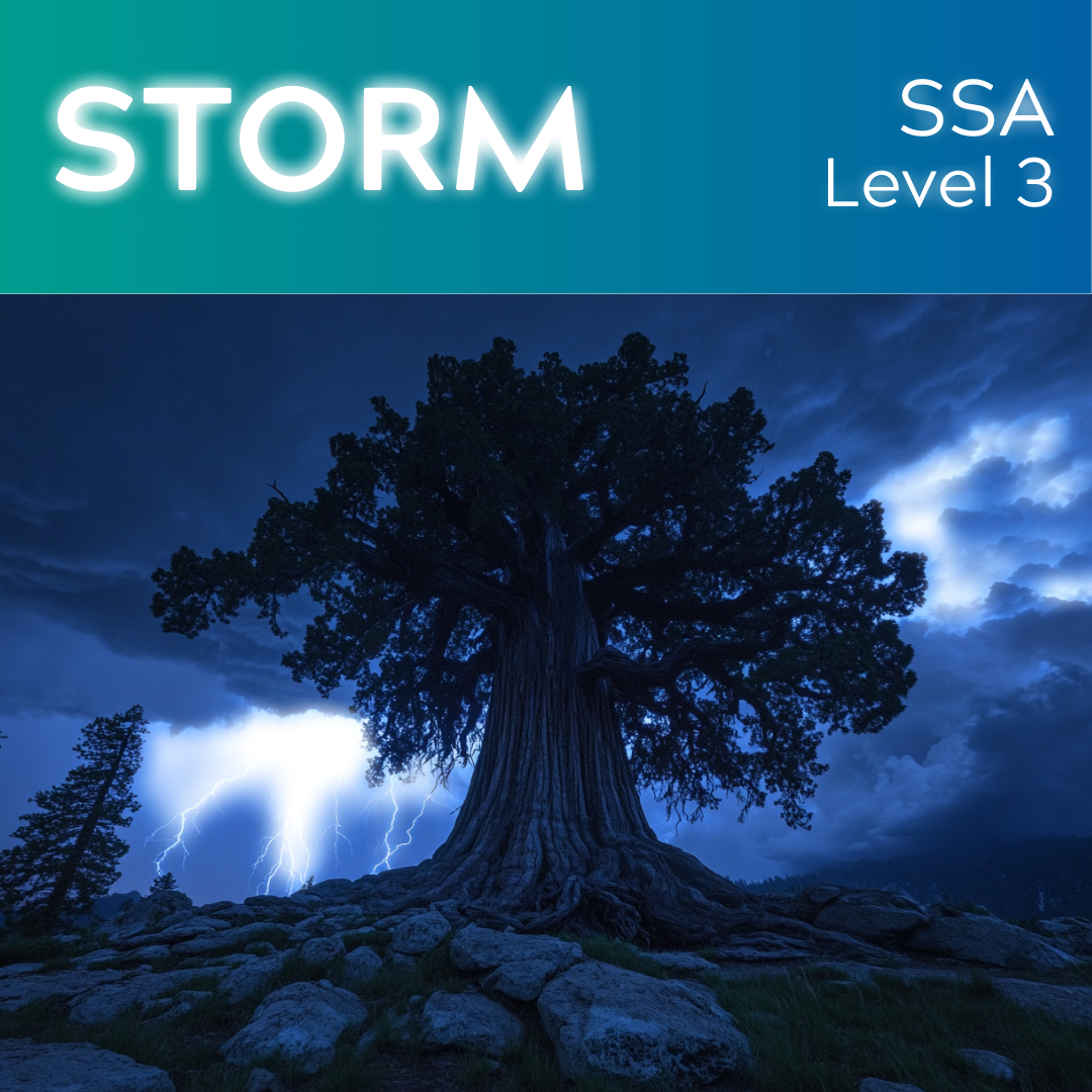 Storm (SSA - L2.5)