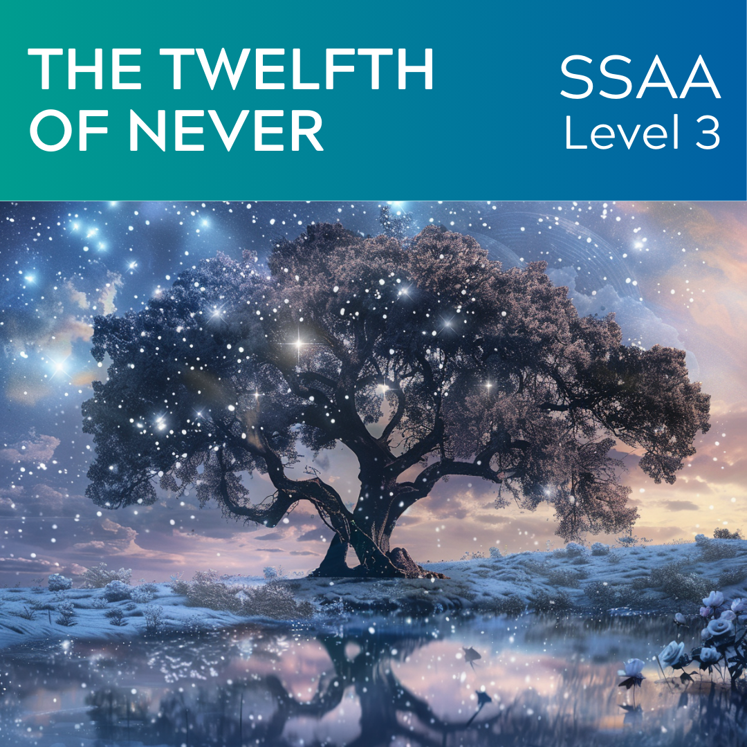Twelfth of Never (SSAA - L3)
